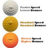 Paceman Mixed Cricket Balls